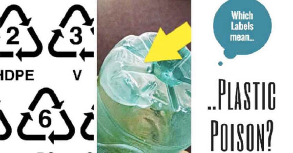 Do NOT Buy Until You Read These Best Water Bottle Reviews