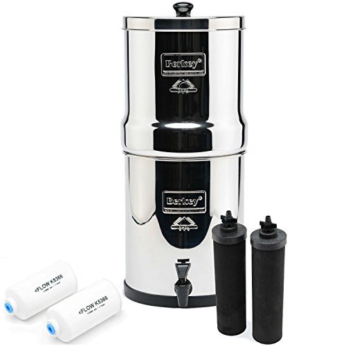 Here are The WORST Features Of The Best Countertop Water Filter
