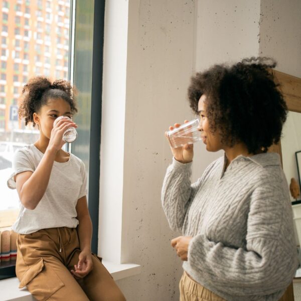 Softpro vs Springwell: Whole Home Filters Edition