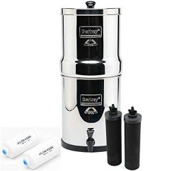 Berkey Water Filters | How To Remove Fluoride From Water