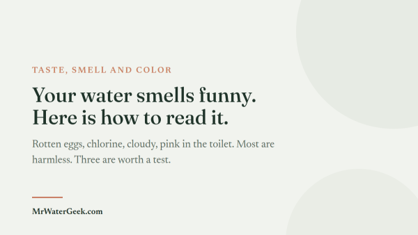 Your Water Smells Funny. Here Is How to Read It.
