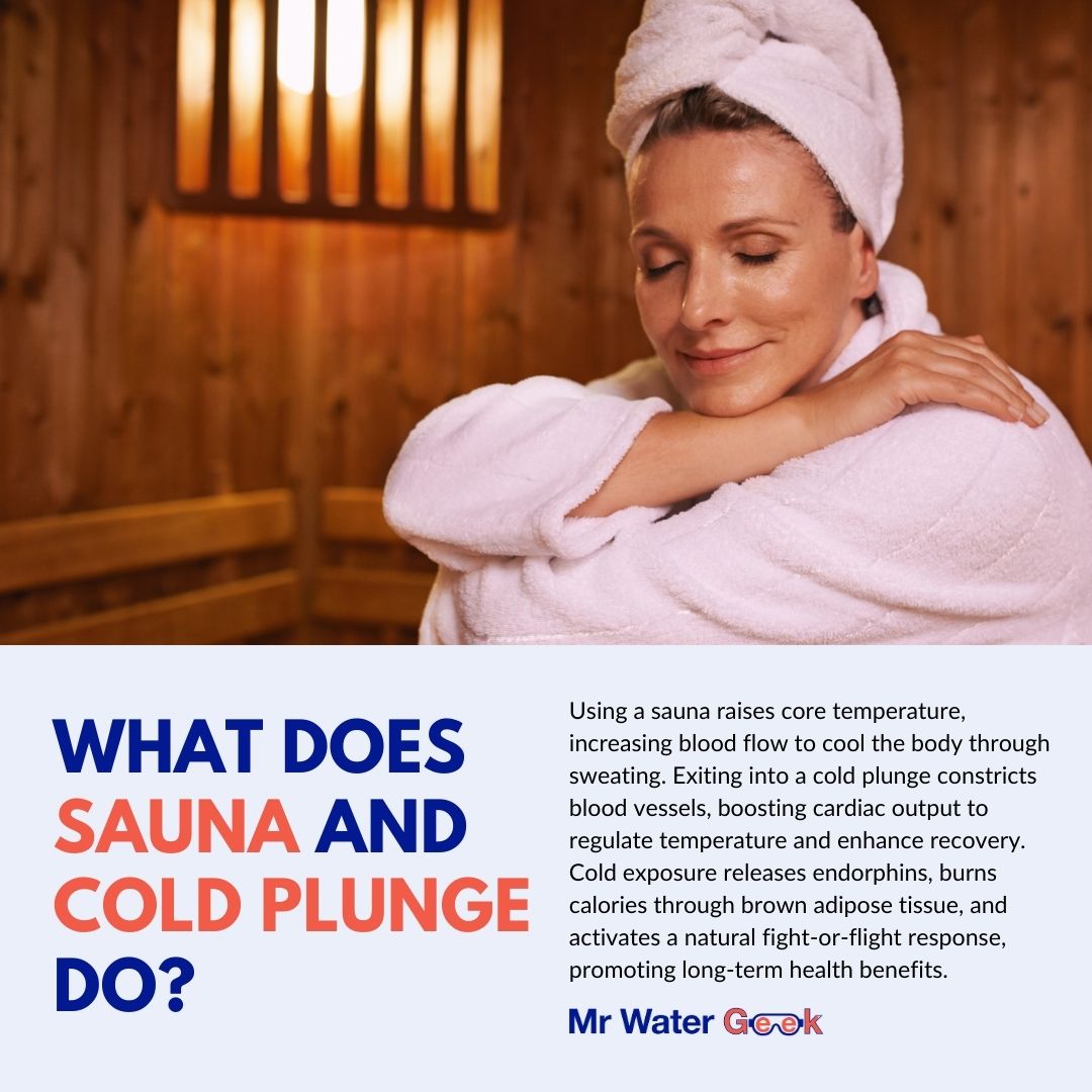 what does sauna and cold plunge do